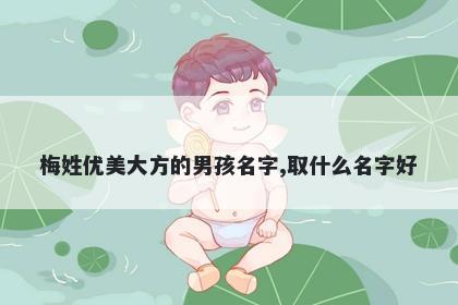 梅姓优美大方的男孩名字,取什么名字好