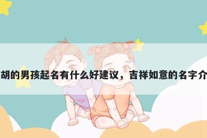 姓胡的男孩起名有什么好建议，吉祥如意的名字介绍