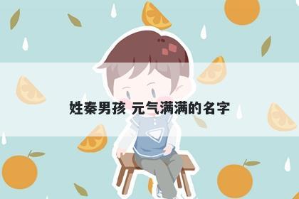 姓秦男孩 元气满满的名字