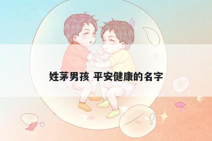 姓茅男孩 平安健康的名字