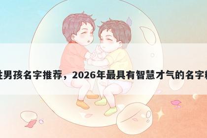 万姓男孩名字推荐，2026年最具有智慧才气的名字精选