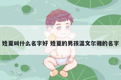 姓夏叫什么名字好 姓夏的男孩温文尔雅的名字
