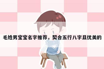 毛姓男宝宝名字推荐,契合五行八字且优美的