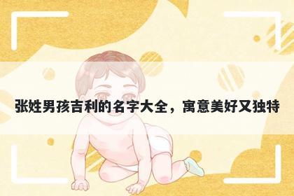张姓男孩吉利的名字大全，寓意美好又独特