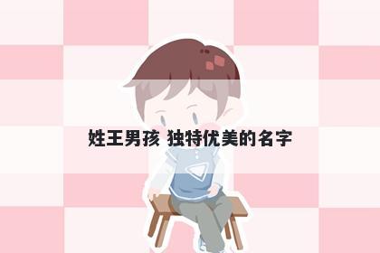 姓王男孩 独特优美的名字