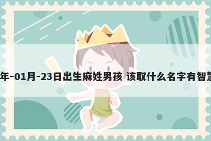 2026年-01月-23日出生麻姓男孩 该取什么名字有智慧才气