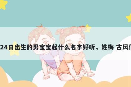 2026年-01月-24日出生的男宝宝起什么名字好听，姓梅 古风仙气的名字推荐