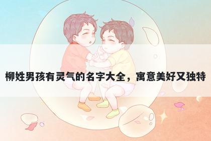 柳姓男孩有灵气的名字大全，寓意美好又独特