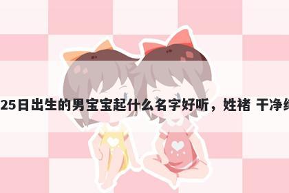 2026年-01月-25日出生的男宝宝起什么名字好听，姓褚 干净纯粹的名字推荐