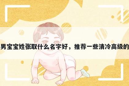 刚出生的男宝宝姓张取什么名字好，推荐一些清冷高级的男孩名字