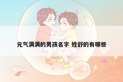 元气满满的男孩名字 姓舒的有哪些