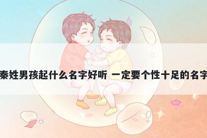 秦姓男孩起什么名字好听 一定要个性十足的名字