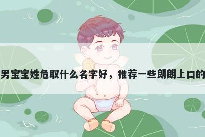 刚出生的男宝宝姓危取什么名字好,推荐一些朗朗上口的男孩名字