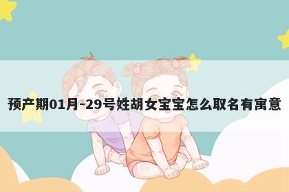 预产期01月-29号姓胡女宝宝怎么取名有寓意