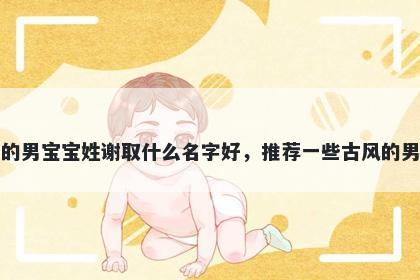 刚出生的男宝宝姓谢取什么名字好，推荐一些古风的男孩名字