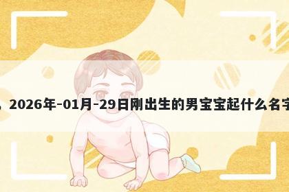 我姓和，2026年-01月-29日刚出生的男宝宝起什么名字比较好
