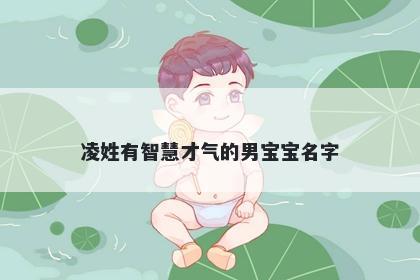 凌姓有智慧才气的男宝宝名字