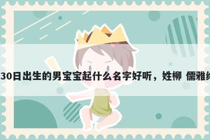 2026年-01月-30日出生的男宝宝起什么名字好听，姓柳 儒雅绅士的名字推荐