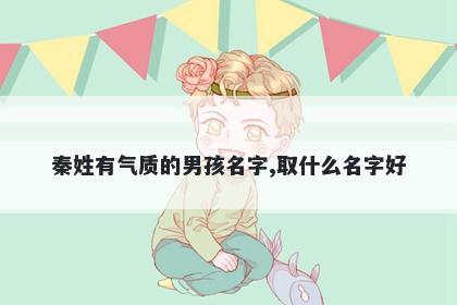 秦姓有气质的男孩名字,取什么名字好