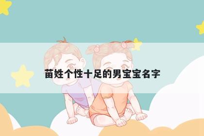 苗姓个性十足的男宝宝名字