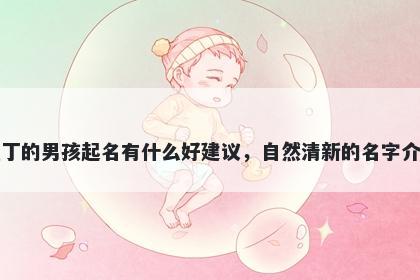 姓丁的男孩起名有什么好建议，自然清新的名字介绍