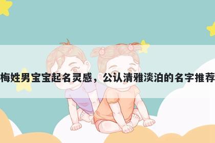 梅姓男宝宝起名灵感，公认清雅淡泊的名字推荐