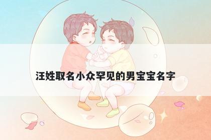 汪姓取名小众罕见的男宝宝名字