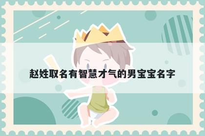 赵姓取名有智慧才气的男宝宝名字