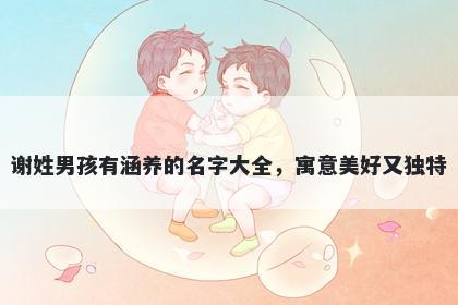 谢姓男孩有涵养的名字大全，寓意美好又独特