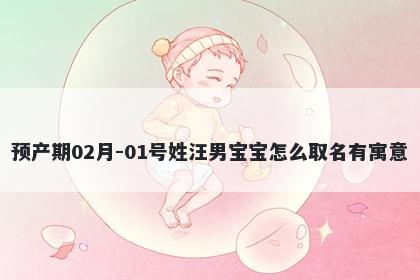 预产期02月-01号姓汪男宝宝怎么取名有寓意