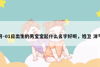 2026年-02月-01日出生的男宝宝起什么名字好听,姓卫 洋气的名字推荐