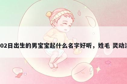 2026年-02月-02日出生的男宝宝起什么名字好听，姓毛 灵动活泼的名字推荐