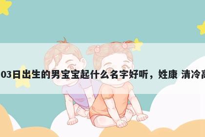 2026年-02月-03日出生的男宝宝起什么名字好听,姓康 清冷高级的名字推荐