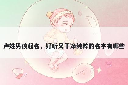 卢姓男孩起名,好听又干净纯粹的名字有哪些