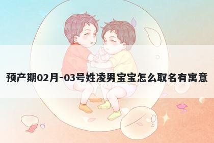 预产期02月-03号姓凌男宝宝怎么取名有寓意