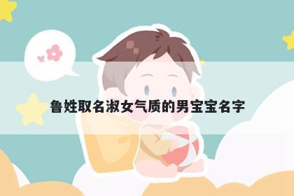 鲁姓取名淑女气质的男宝宝名字