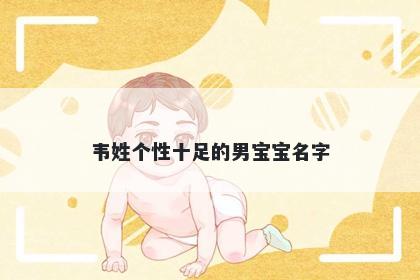 韦姓个性十足的男宝宝名字