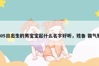 2026年-02月-05日出生的男宝宝起什么名字好听,姓鲁 霸气侧漏的名字推荐