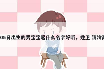 2026年-02月-05日出生的男宝宝起什么名字好听，姓卫 清冷高级的名字推荐