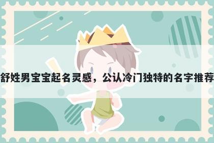 舒姓男宝宝起名灵感，公认冷门独特的名字推荐