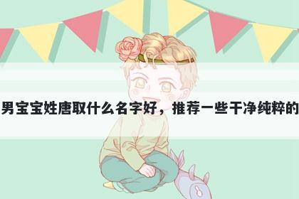 刚出生的男宝宝姓唐取什么名字好，推荐一些干净纯粹的男孩名字