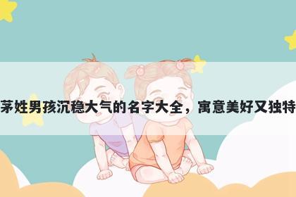 茅姓男孩沉稳大气的名字大全，寓意美好又独特