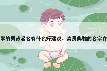 姓李的男孩起名有什么好建议,高贵典雅的名字介绍