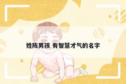姓陈男孩 有智慧才气的名字