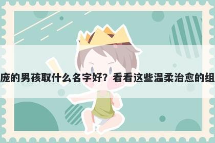 姓庞的男孩取什么名字好?看看这些温柔治愈的组合