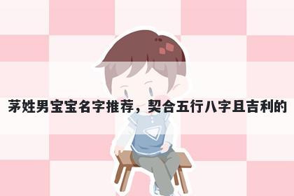 茅姓男宝宝名字推荐，契合五行八字且吉利的