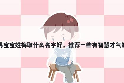 刚出生的男宝宝姓梅取什么名字好,推荐一些有智慧才气的男孩名字