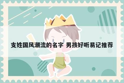 支姓国风潮流的名字 男孩好听易记推荐