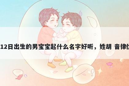 2026年-02月-12日出生的男宝宝起什么名字好听，姓胡 音律优美的名字推荐