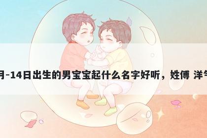 2026年-02月-14日出生的男宝宝起什么名字好听，姓傅 洋气的名字推荐